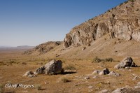 Great Basin shrubland replaced by fire-prone invasive weeds.