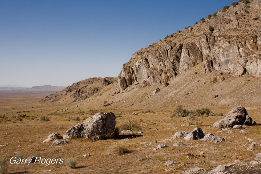 Great Basin shrubland replaced by fire-prone invasive weeds.