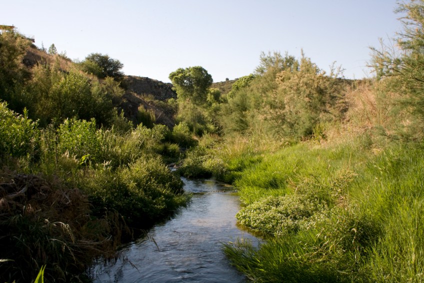 Agua Fria River in Dewey-Humboldt, Arizona