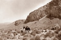1901.  Cedar Mountains by G. K. Gilbert