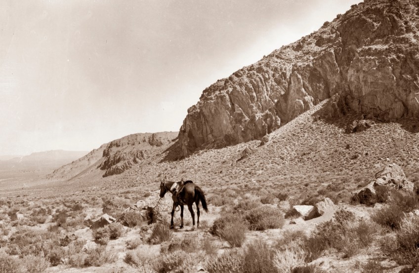 1901. Cedar Mountains by G. K. Gilbert