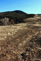 New Pipeline in Central Arizona.  Native chaparral removed, heavily grazed, constant traffic.