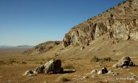 A barren Great Basin landscape where native vegetation was removed by fire and replaced by Cheatgrass.
