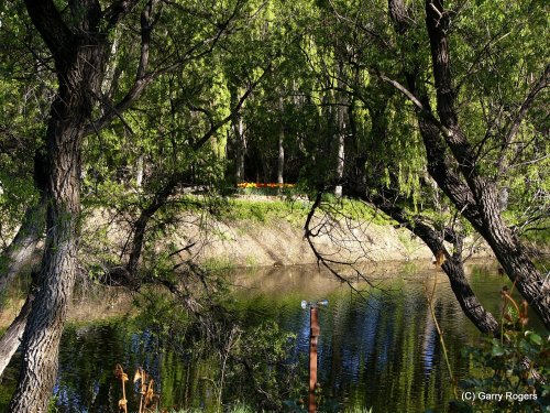 One of the ponds on Coldwater Farm
