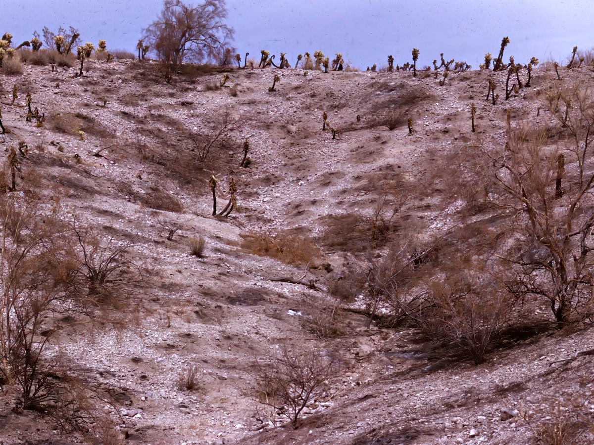 The Great Simplification is the Mechanism. The Initiation is the&nbsp;Meaning.