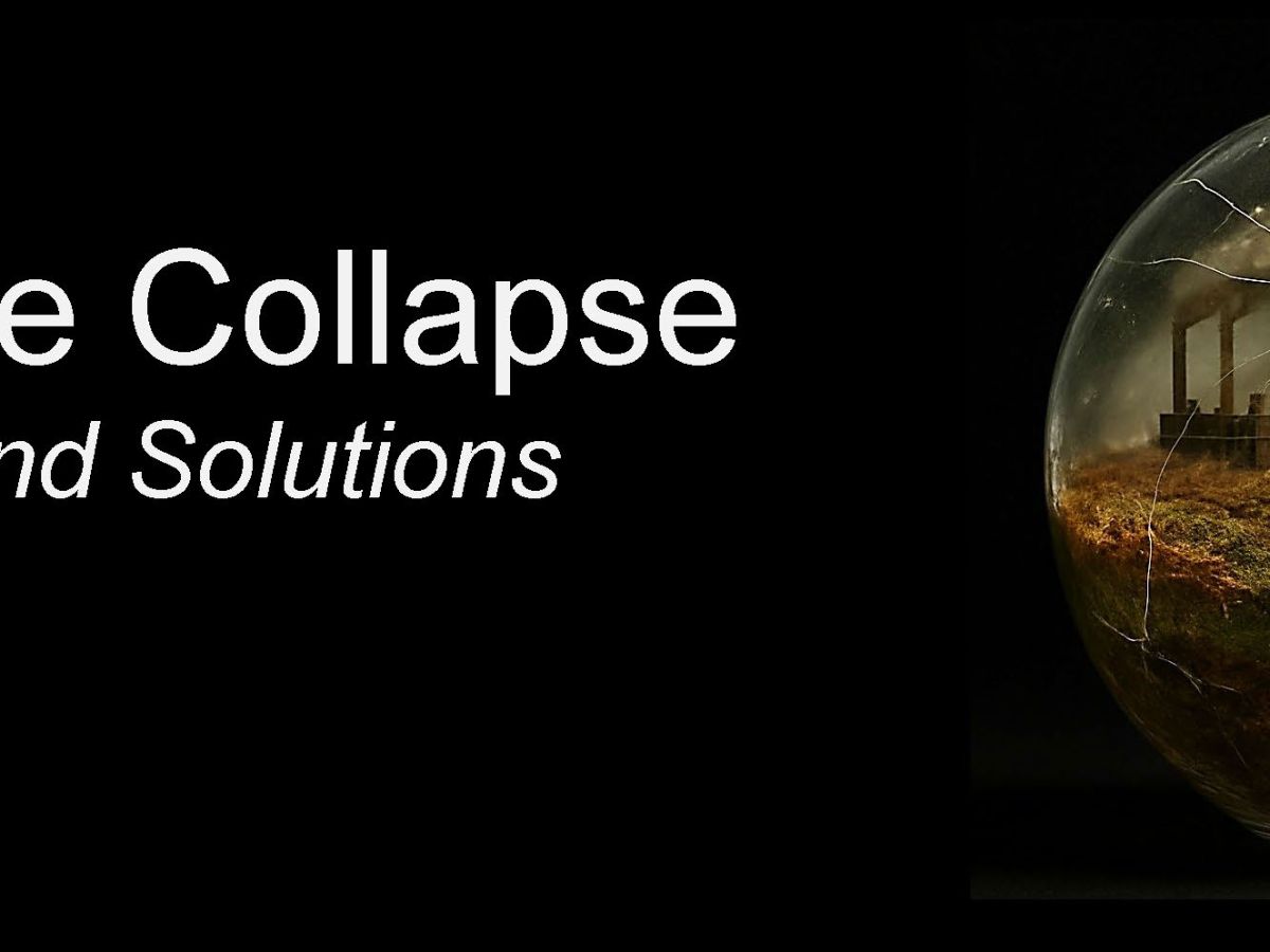 Five Stars for Biosphere Collapse: Causes and Solutions: A Critical Call for&nbsp;Change